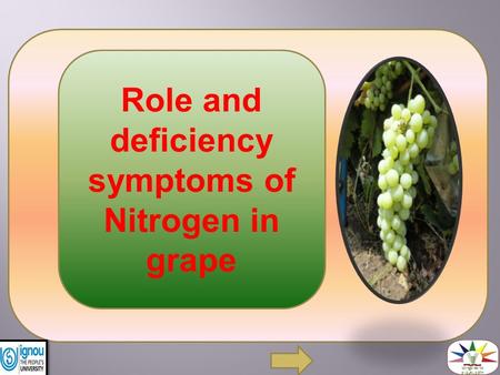 Role and deficiency symptoms of Nitrogen in grape