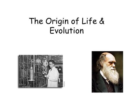 The Origin of Life & Evolution