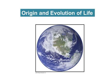 Origin and Evolution of Life. Electric discharges can generate organic molecules.