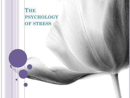 T HE PSYCHOLOGY OF STRESS. STRESS... It might seem like a simple concept. We toss the word around every day. But what does stress really mean? Is it the.