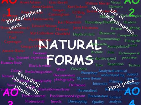 AO 1 AO 2 AO 3 AO 4 NATURAL FORMS Paul Caponigro Ansel Adams Imogen Cunningham Edward Weston Jerry Uelsmann Andy Goldsworthy Giuseppe Arcimboldo Thomas.