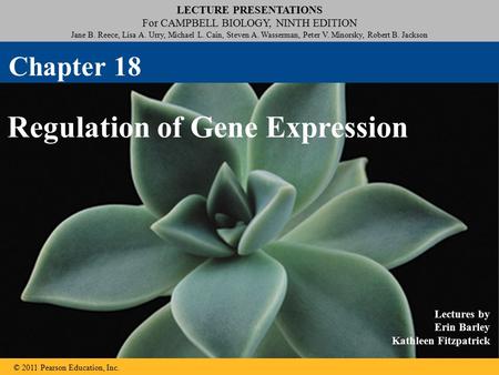 LECTURE PRESENTATIONS For CAMPBELL BIOLOGY, NINTH EDITION Jane B. Reece, Lisa A. Urry, Michael L. Cain, Steven A. Wasserman, Peter V. Minorsky, Robert.