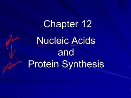 Nucleic Acids and Protein Synthesis