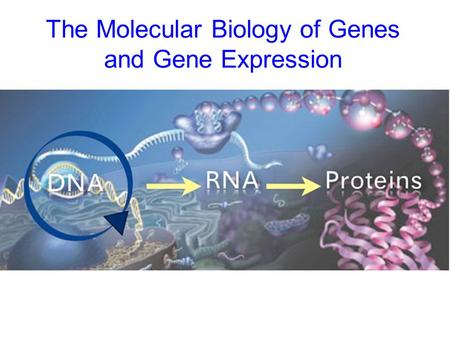 The Molecular Biology of Genes and Gene Expression.