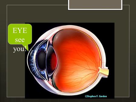 Vision EYE see you!. Transduction  Transduction: Technically speaking, transduction is the process of converting one form of energy into another.  As.