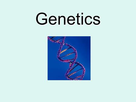 Genetics Do Now Hand in your Karyotyping Lab if you haven’t already! Take out the Video – What are genes question sheet? Read over the questions so you.