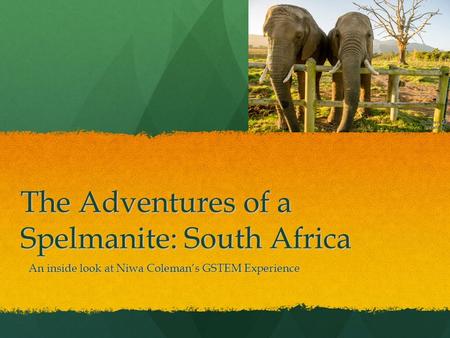 The Adventures of a Spelmanite: South Africa An inside look at Niwa Coleman’s GSTEM Experience.