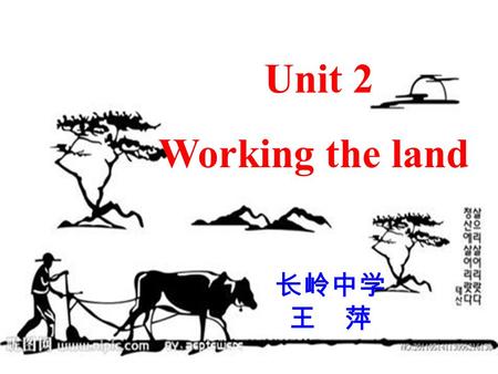 Unit 2 Working the land 长岭中学 王 萍 Farmers weeding at noon, Sweat down the field soon. Who knows food on a tray, Due to their toiling day. Let’s enjoy.