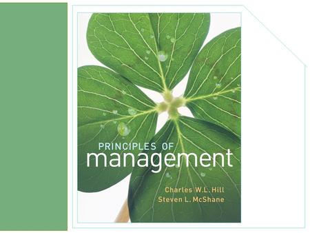 chapter 6 Strategy McGraw-Hill/Irwin Principles of Management © 2008 The McGraw-Hill Companies, Inc., All Rights Reserved.