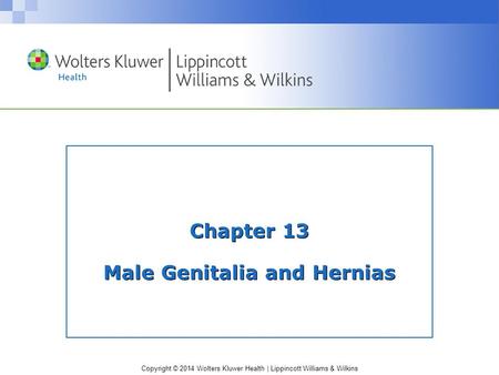 Copyright © 2014 Wolters Kluwer Health | Lippincott Williams & Wilkins Chapter 13 Male Genitalia and Hernias.