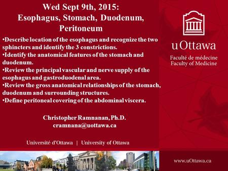 Wed Sept 9th, 2015: Esophagus, Stomach, Duodenum, Peritoneum Christopher Ramnanan, Ph.D. Describe location of the esophagus and recognize.