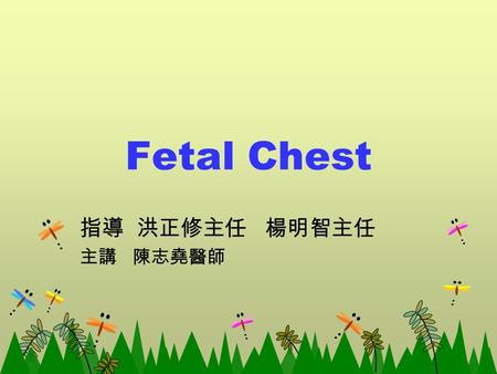 Fetal Chest 指導 洪正修主任 楊明智主任 主講 陳志堯醫師. Chest Development Congenital Diaphragmatic Hernia Cystic Adenomatoid Malformation Bronchopulmonary Sequestration.