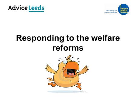 Responding to the welfare reforms. The picture in Leeds  Advice Leeds Partnership  Welfare Reform Strategy Board.