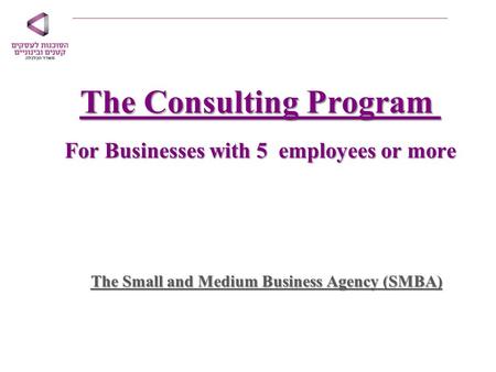 The Consulting Program For Businesses with 5 employees or more The Small and Medium Business Agency (SMBA)