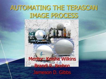 AUTOMATING THE TERASCAN IMAGE PROCESS Mentor: Keisha Wilkins Brandi R. Brehon Jameson D. Gibbs.