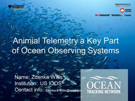 Animial Telemetry a Key Part of Ocean Observing Systems Name: Zdenka Willis Institution: US IOOS ® Contact info.