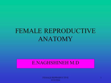 FEMALE REPRODUCTIVE ANATOMY