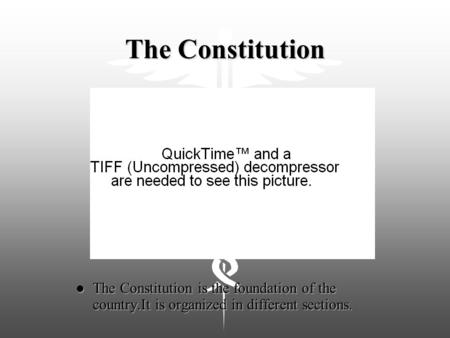 The Constitution l The Constitution is the foundation of the country.It is organized in different sections.