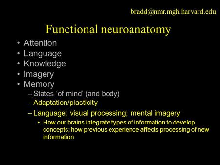 Functional neuroanatomy