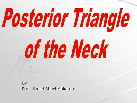 By Prof. Saeed Abuel Makarem