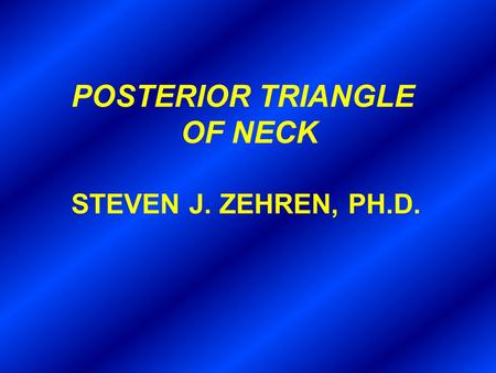 POSTERIOR TRIANGLE OF NECK STEVEN J. ZEHREN, PH.D.