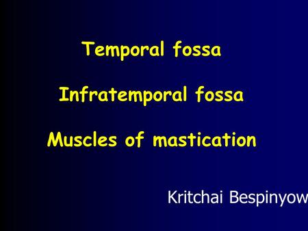 Muscles of mastication