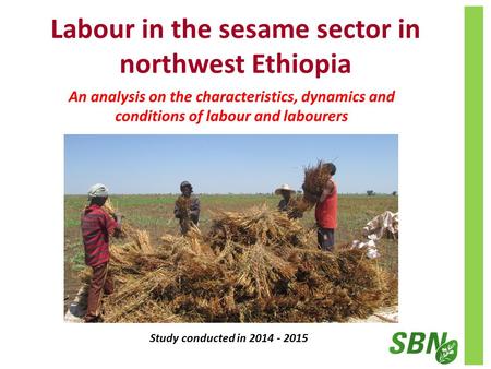 Labour in the sesame sector in northwest Ethiopia Study conducted in 2014 - 2015 An analysis on the characteristics, dynamics and conditions of labour.