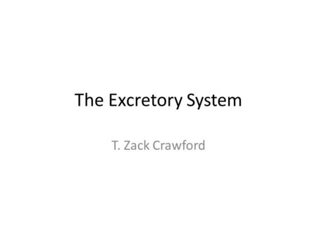 The Excretory System T. Zack Crawford. Function The function of the excretory system is to remove unnecessary waste materials from the body to maintain.