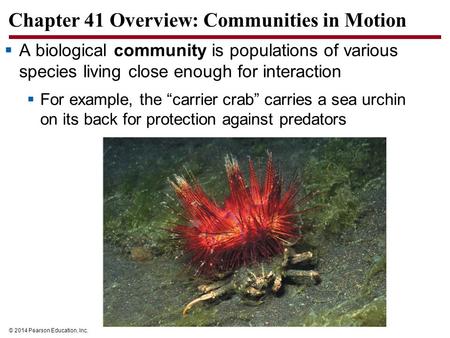 © 2014 Pearson Education, Inc. Chapter 41 Overview: Communities in Motion  A biological community is populations of various species living close enough.