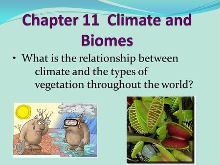 What is the relationship between climate and the types of vegetation throughout the world?