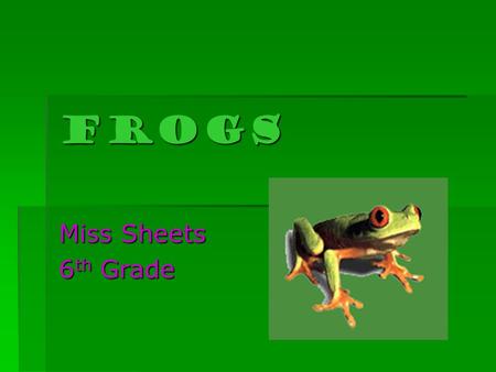 FROGS Miss Sheets 6 th Grade. What is a frog?  Frogs are members of the zoological class called Amphibia.  Amphibians are cold-blooded vertebrate animals.