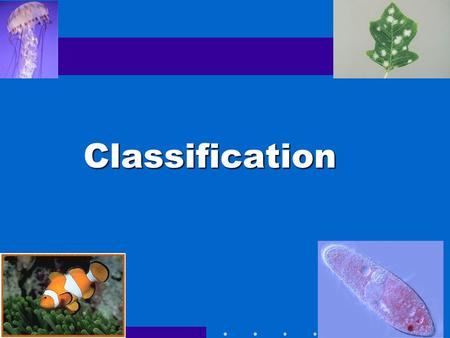 Classification Go to Section:.