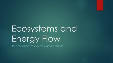 Ecosystems and Energy Flow BY: NATALIE PORTWOOD AND SLYDER WELCH.