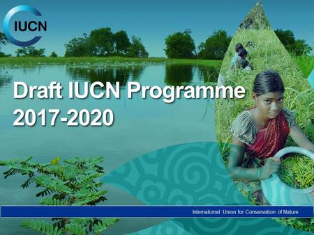 Draft IUCN Programme 2017-2020.