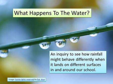 What Happens To The Water? An inquiry to see how rainfall might behave differently when it lands on different surfaces in and around our school. Image: