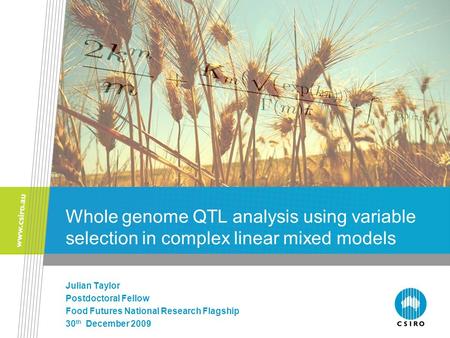 Whole genome QTL analysis using variable selection in complex linear mixed models Julian Taylor Postdoctoral Fellow Food Futures National Research Flagship.