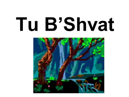 Tu B’Shvat. When Is It? This Year (5772 / 2011-2012),Tu B'Shvat, the New Year of the Trees, falls on Wednesday, February 8, 2012. As all Jewish Holidays.