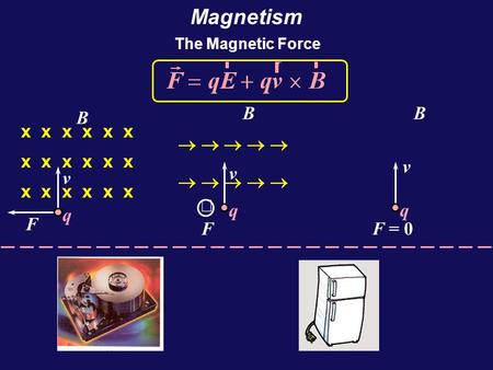 Magnetism B B B x x x x x x ® ® ® ® ® ­ ­ ­ ­ ­ ­ ­ ­ v v v ´ q q q F