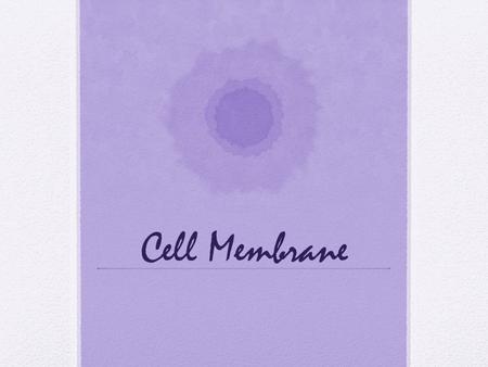 Cell Membrane. Function 1.Separates cytoplasm from external environment 2.Regulates what enters and leaves cell 3.Cell identification 4.Cell-cell communication.