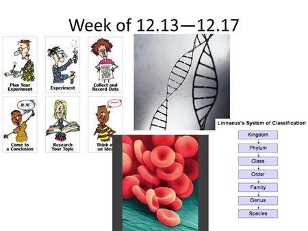 Week of 12.13—12.17. Catalyst: Please write the answers to these questions on a blank piece of paper. Monday: 12.13.2010 1.Get out any notes you have.