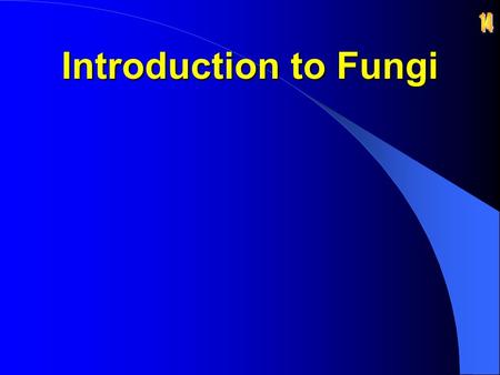 14 Introduction to Fungi.