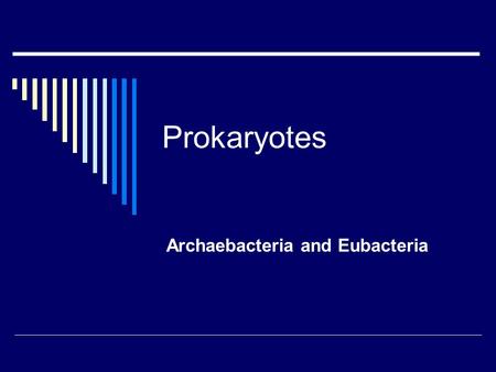 Archaebacteria and Eubacteria