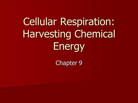 Cellular Respiration: Harvesting Chemical Energy Chapter 9.