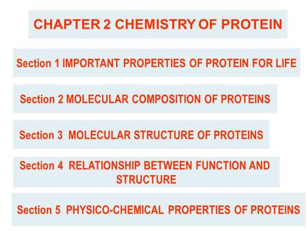 CHAPTER 2 CHEMISTRY OF PROTEIN