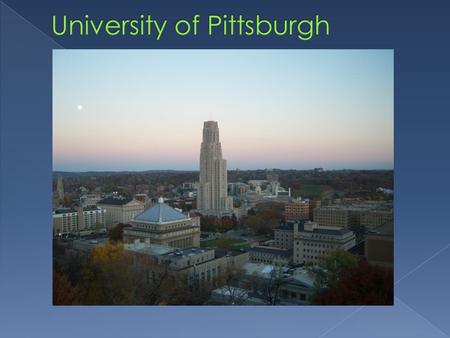  Disconnect between students and administration began to close  Established sustainability interns in dining and housing  Problem: needed to “institutionalize.