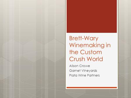 Brett-Wary Winemaking in the Custom Crush World Alison Crowe Garnet Vineyards Plata Wine Partners.