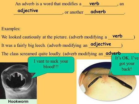 An adverb is a word that modifies a _______________, an _____________________, or another _________________. Examples: We looked cautiously at the picture.