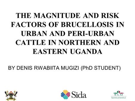 1 THE MAGNITUDE AND RISK FACTORS OF BRUCELLOSIS IN URBAN AND PERI-URBAN CATTLE IN NORTHERN AND EASTERN UGANDA BY DENIS RWABIITA MUGIZI (PhD STUDENT)