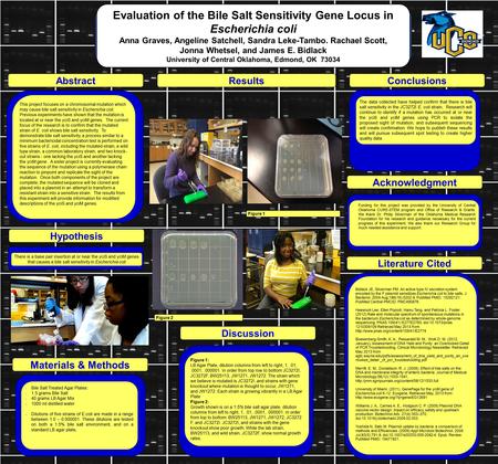 Evaluation of the Bile Salt Sensitivity Gene Locus in Escherichia coli Anna Graves, Angeline Satchell, Sandra Leke-Tambo. Rachael Scott, Jonna Whetsel,