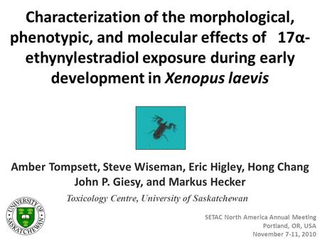 Characterization of the morphological, phenotypic, and molecular effects of 17α- ethynylestradiol exposure during early development in Xenopus laevis Amber.